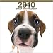 boxer2 - Boxer 2010 Wall Calendar