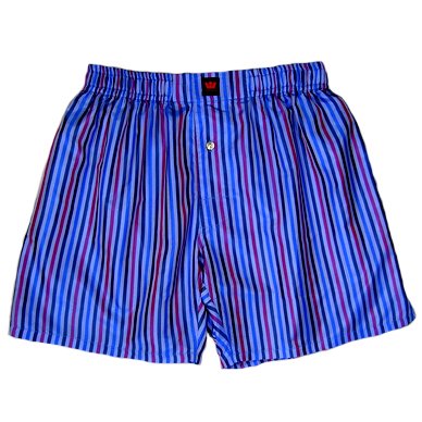 Blue Stripes 100% Madras Silk Boxers by Royal Silk - Medium