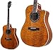 Fender Acoustics T-Bucket 300CE QT AMB