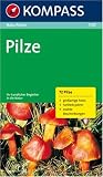 Naturführer Pilze: Sehen und verstehen. 72 Pilze, großartige Fotos, Farbleitsystem, extra Beschreibungen