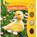Les b�b�s animaux
