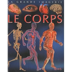 Le corps