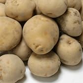 【送料無料！】北海道じゃがいも　北あかり10kg　ほくほく旨い♪