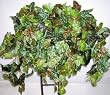 Green & Burgundy Ivy Shelf Plant