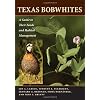 Texas Bobwhites: A Guide to Their Foods and Habitat Management (Ellen and Edward Randall Series)