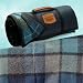 Pendleton Roll-up Picnic Blanket - Blue
