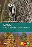 Im Wald: Natur erleben - beobachten - verstehen - Andreas Jaun, Sabine Joss