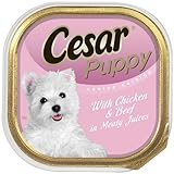 Cesar Canine Cuisine Puppy with Chicken and Beef In Meaty Juices for Small Dogs, 3.5-Ounce Trays  (Pack of 24)