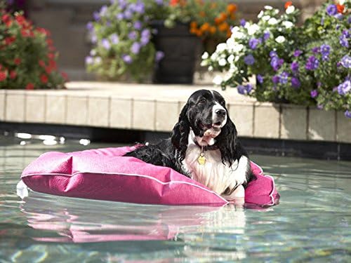 Pet Pool and Deck Lounger Rasberry (SM 30")