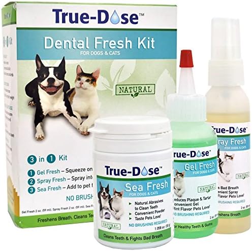 True Dose Electronics Dental Kit with Spray, Gel and Powder