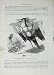 Cassell'S Birds C1870 Secretary Crane Vulture Bird Prey