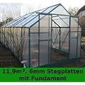 11,89m� PROFI Gew�chshaus Glashaus Treibhaus, 6mm HK-Stegplatten, Doppelschiebet�re, inkl. Fundament und 1 autom.Fenster�ffner SEHR STABIL