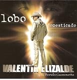 Valentin Elizalde Y Su Banda Guasavena  Lobo Domesticado 