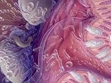 Bacteria of Human Intestinal Tract, Painted by Jane Hurd Photographic Poster Print, 16x12