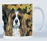 Eigenschaften Otter House  / Cavalier King Charles Spaniel - We Three Kings - Beche