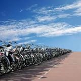 A Long Row of Bicycles - 24