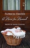 A Home for Hannah (Thorndike Press Large Print Christian Romance Series)
