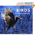 Birds: Magic Moments