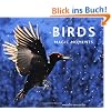 Birds: Magic Moments