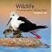Wildlife Photographer of the Year Portfolio 20 (Portfolio (Natural History Museum))