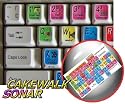 CAKEWALK SONAR KEYBOARD STICKER