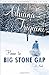 Home to Big Stone Gap: A Novel