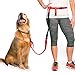 The Buddy System Accessories for Our Dog Leashes Made in USA (Shock Absorber, Regular Dog Black)