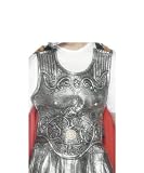 Roman Armour Breast Plate Adult (Rubber) Adult