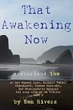 51i419w4TuL. SL160  That Awakening Now (awakurious two) or how Miguel Ruiz, Eckhart Tolle, Adyashanti, Ramana Maharshi, and Nisargadatta Maharaj did away with me on Twitter; Part 2