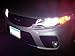 BlingLights H11B 4750K Hyper White Halogen Bulb, (Pack of 2)