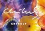Chihuly: 365 Days