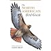 Birding in Michigan  essentials