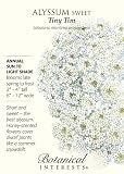 Amazon / Hirts: Seed; Alyssum: Tiny Tim Sweet Alyssum Seeds - .30 grams