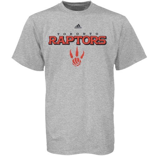 adidas Toronto Raptors Ash True T-shirt