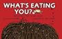 What's Eating You?