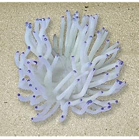 Nature's Image Artificial Corals: Anemone White by