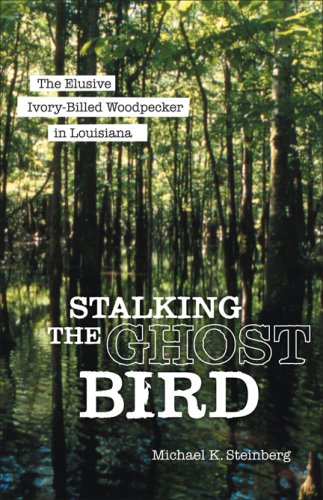 Stalking the Ghost Bird: The Elusive Ivory-Billed Woodpecker in Louisiana