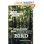 Stalking the Ghost Bird: The Elusive Ivory-Billed Woodpecker in Louisiana