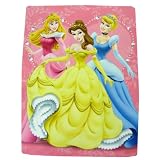 Disney Princess Twin Mink Blanket - Hearts Sparkles Royal Plush Raschel Throw
