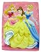 Disney Princess Twin Mink Blanket - Hearts Sparkles Royal Plush Raschel Throw