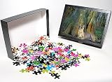 Photo Jigsaw Puzzle of TOM-1841 Florida Cougar / Mountain Lion / Puma from Ardea Wildlife Pets