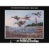 (18x24) Phillip Crowe (Blue Winged Teal Ducks w/ Lighthouse Stamp, North Carolina) Art Poster Print