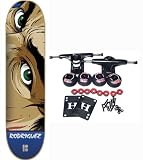 PLAN B SKATEBOARDS Complete Pro Skateboard P-ROD FURY 7.63 Rodriguez