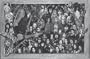 (24x36) Metal (Heavy Metal Collage) Music Poster Print