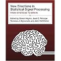 New Directions in Statistical Signal Processing (From Systems to Brain) (Neural Information Processing Series) (Hardcover)