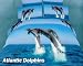 Atlantic Dolphins, 4 PCs Animal Themed Bedding, Twin Size Egyptian Cotton Duvet Cover Set in Gift Box by Dolce Mela Fine Linens Bed in a Box, Boys or Girls Dorm Room Bedding Set, Birthday Housewarming or Anniversary Gift Idea, DM425T Atlantic Dolphins, 4 PCs Animal Themed Bedding, Twin Size Egyptian Cotton Duvet Cover Set in Gift Box by Dolce Mela Fine Linens Bed in a Box, Boys or Girls Dorm Room Bedding Set, Birthday Housewarming or Anniversary Gift Idea, DM425T