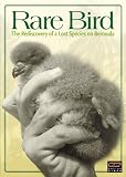 Rare Bird