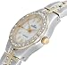 51i5Z4E  eL. SL75  AK Anne Klein Womens Swarovski� Crystal Accented TwoTone
