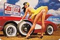 BEEF US PIN UP BLECHSCHILD NEU STABIL S2649