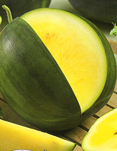 Rare Seeds Watermelon Yanusyk Organic Russian Heirloom Watermelon Seed